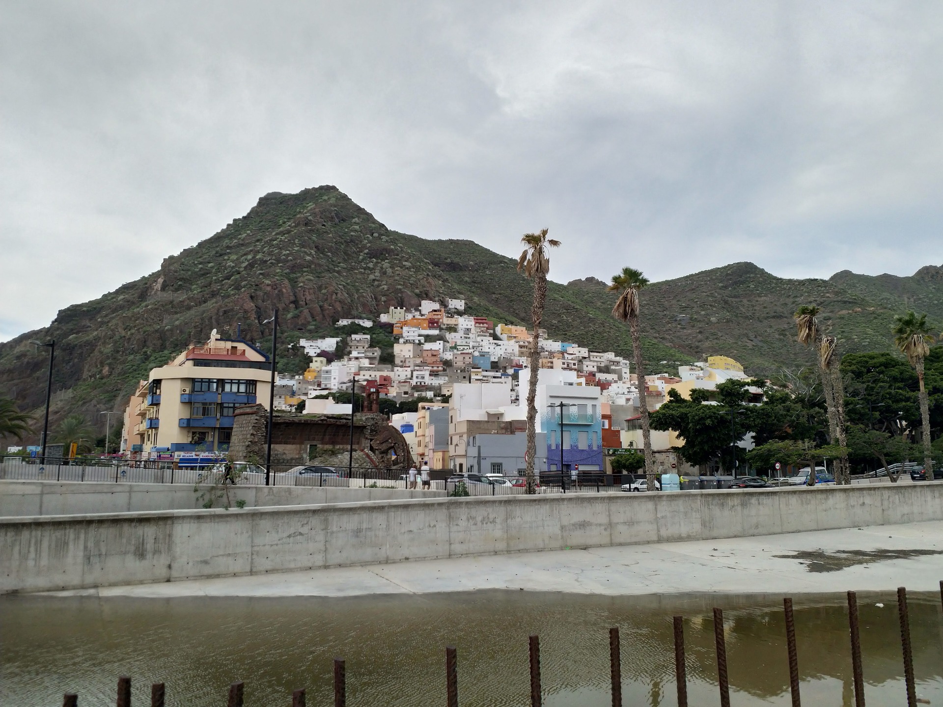 laurisilva, serpentine, megla in severovzhod